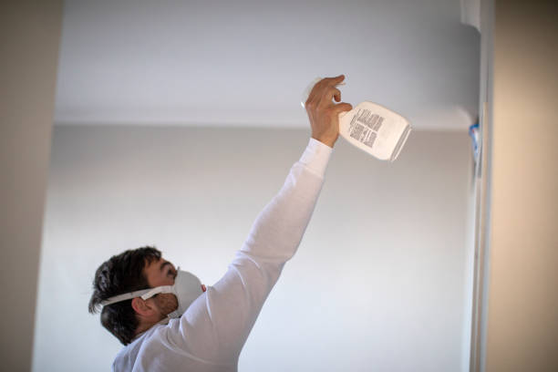 Best Mold Remediation  in Byron, GA