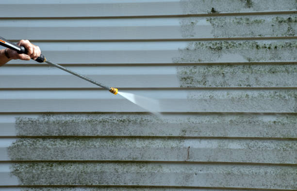 Best Professional Mold Removal  in Byron, GA