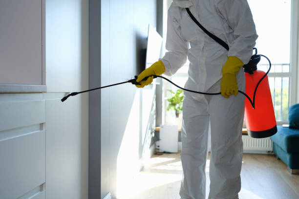 Certified Mold Removal in Byron, GA